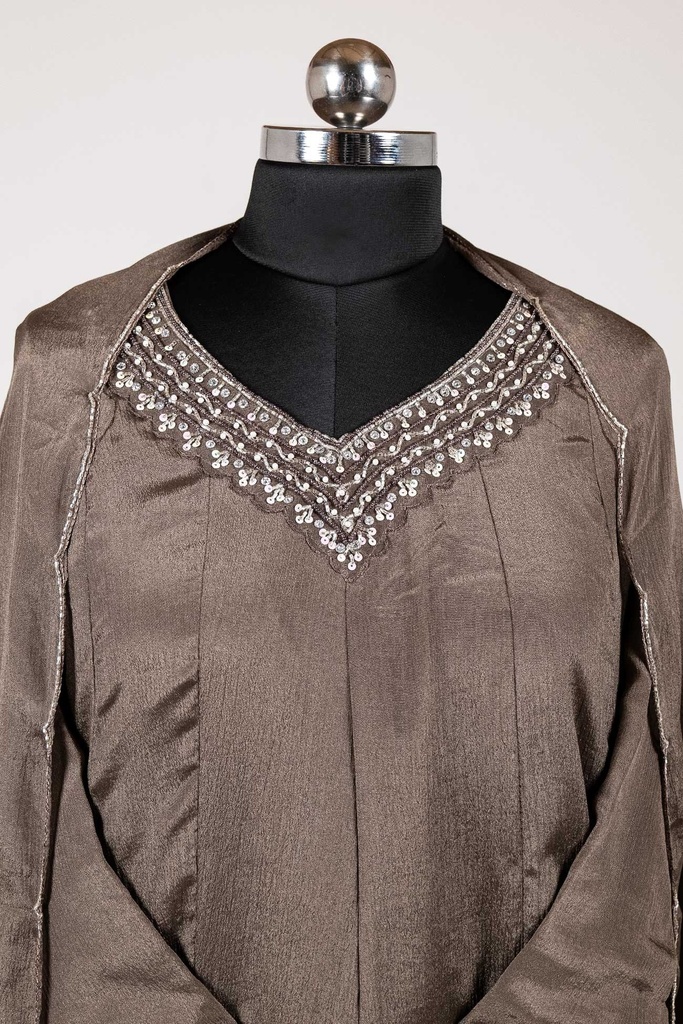 Walnut Brown Panel Suit With Dupatta