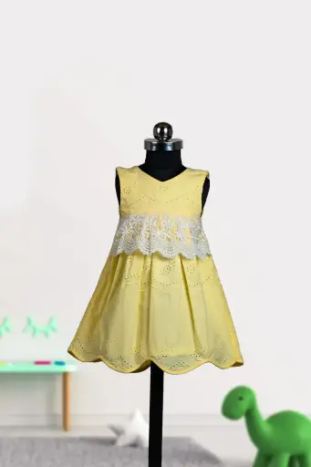 Pale Yellow Hakoba Pleated Frock With Lace